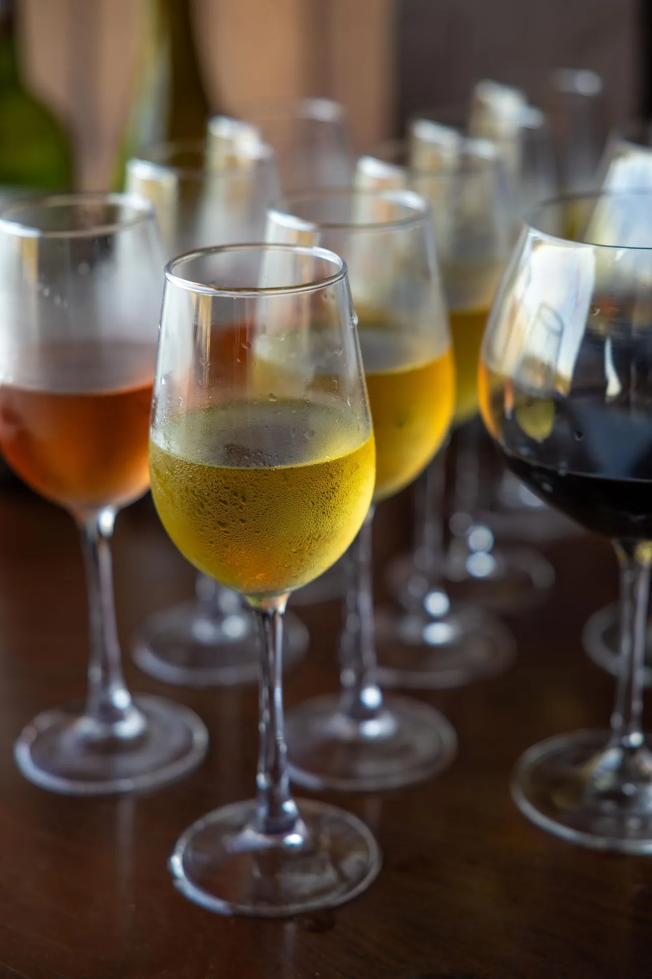 Various wine glasses filled with white, red, and rosé wines lined up on a tasting tour in Lisbon Portugal